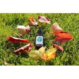 Liquid Vitamin D 2000iu 50ml