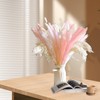 hhdatc 47Pcs Pink Pampas Grass Decor,Fall Pampas Grass Decor Dried
