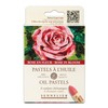 Sennelier Pastel Case Rose En Fleur 6 P