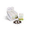 STAMFORD INC 37217 Energising Aromatherapy Cones, 15 Cones x 12