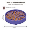 WHIPPY Slow Feeder Dog Bowls Anti-Choking Maze Dog Food Bowl