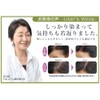 Phiten Top-on-Do D (Gray Hair Dye) BE6 (Light Brown) x