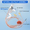 9003542 Pilot Assembly, Natural Gas Pilot Assembly Compatible with A.O.Smith,