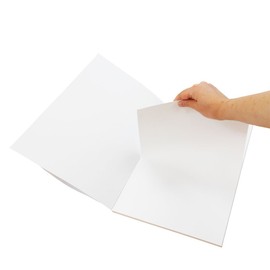 Ehime Shiko TGA-B4 Tenglue, White Drawing Paper