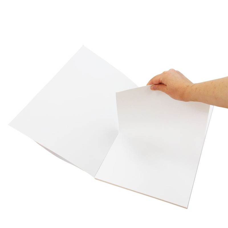 Ehime Shiko TGA-B4 Tenglue, White Drawing Paper