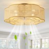 Glmthux Caged Ceiling Fan with Lights, Flush Mount 20" Boho