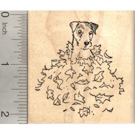 RubberHedgehog Jack Russell Dog Rubber Stamp, in Autumn Leaf Pile AKA Parsons Terrier J22814 WM