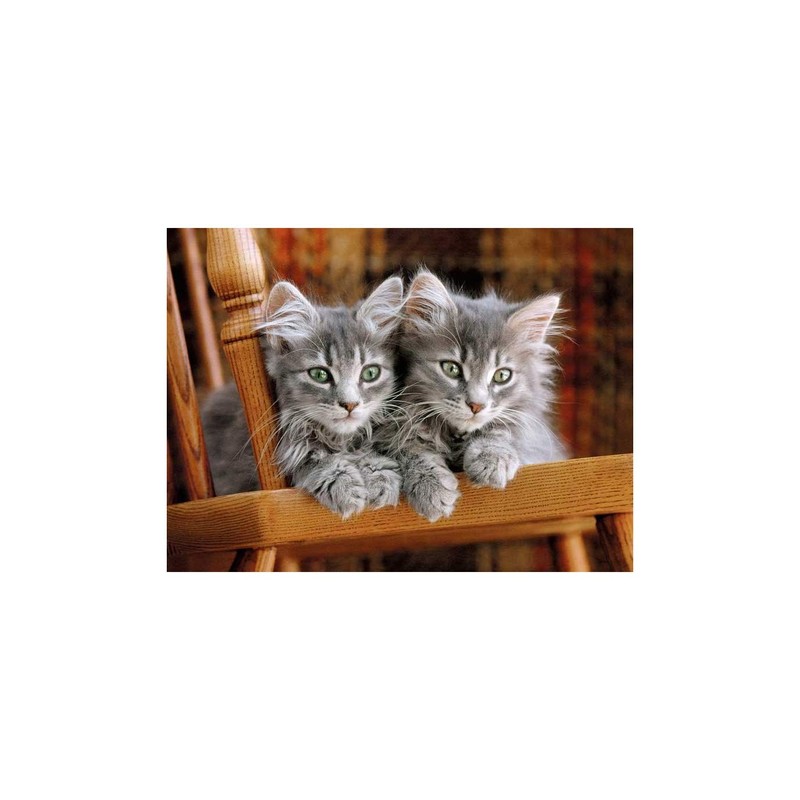 Clementoni Kitten Puzzle (500 Piece)