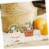 CAXUSD 12Pcs Miniature Woven Baskets for Party Favors Rustic Small