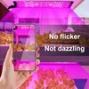 Full Spectrum LED Plant Growth Light Board Supplement Light for