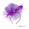 ZMD Fascinators Hat for Women Girls, Tea Party Mesh Flower