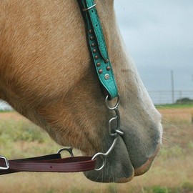 Circle Y Carol Goostree Chain Delight Bit