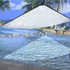 Transparent Tarpaulin with Eyelets, 2 x 3 m PE Clear