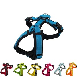 Hakusan Zero Harness (S, Black x Turquoise)