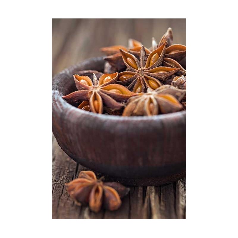 Trothic Spices Star Anise Whole | Chakri Phool | Badhiyan