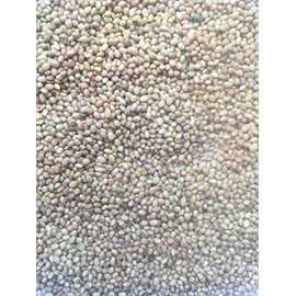 2 pounds Microgreens Alfalfa Seeds Mix Salad Sprouts Organic Non GMO 16oz