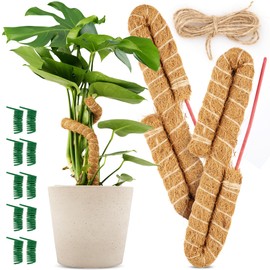 ENLICO Monstera Rankhilfe (2er-Set mit Zubehör), 70cm, biegsamer Moosstab für Monstera, Rankhilfen für Kletterpflanzen, Pflanzenstab mit Aluminiumkern (70cm)