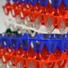 10-Pack Reusable Plastic Egg Tray Egg Crates 30-Egg Flats for