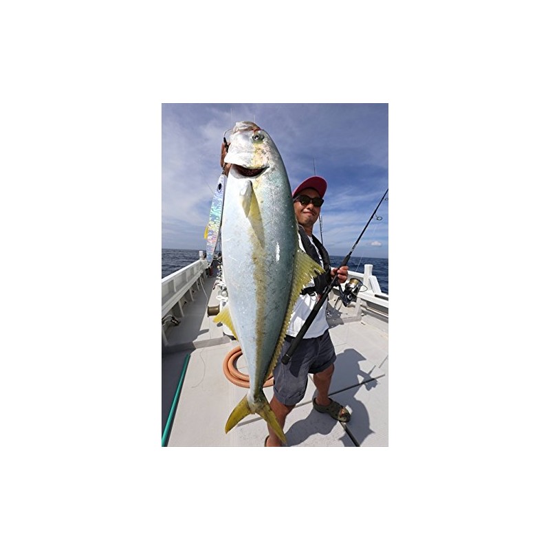 NatureBoys Iron Hook ST IHST-50#5/0 (Pack of 2)