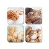4 x Square Ginger Cats Coasters - Cute Animals Pets