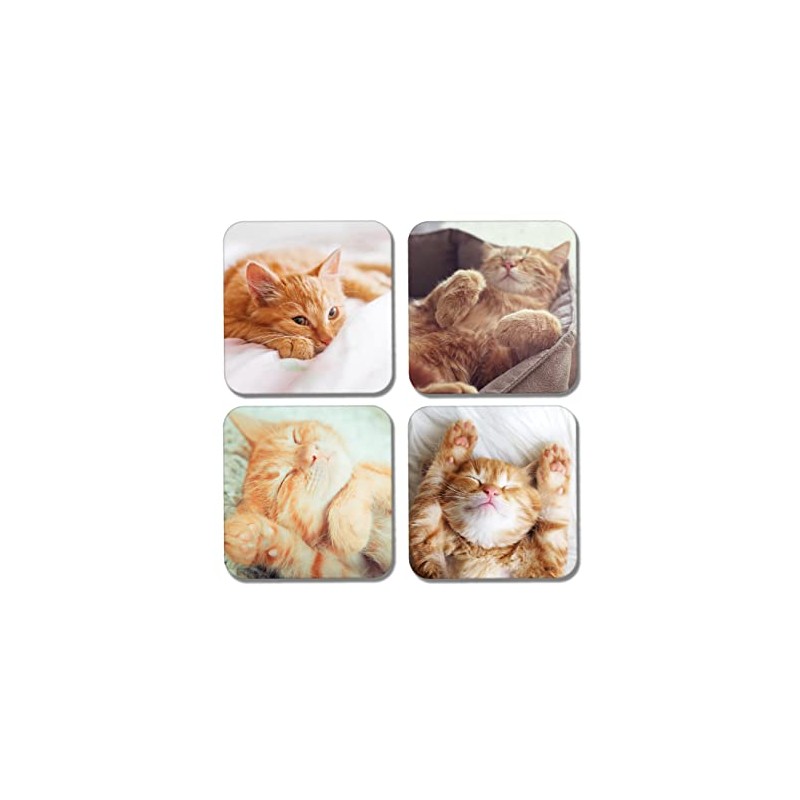 4 x Square Ginger Cats Coasters - Cute Animals Pets
