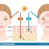 Sheló Nabel Bloqueador Solar, Protector Solar Facial 50+ Coco Sheló