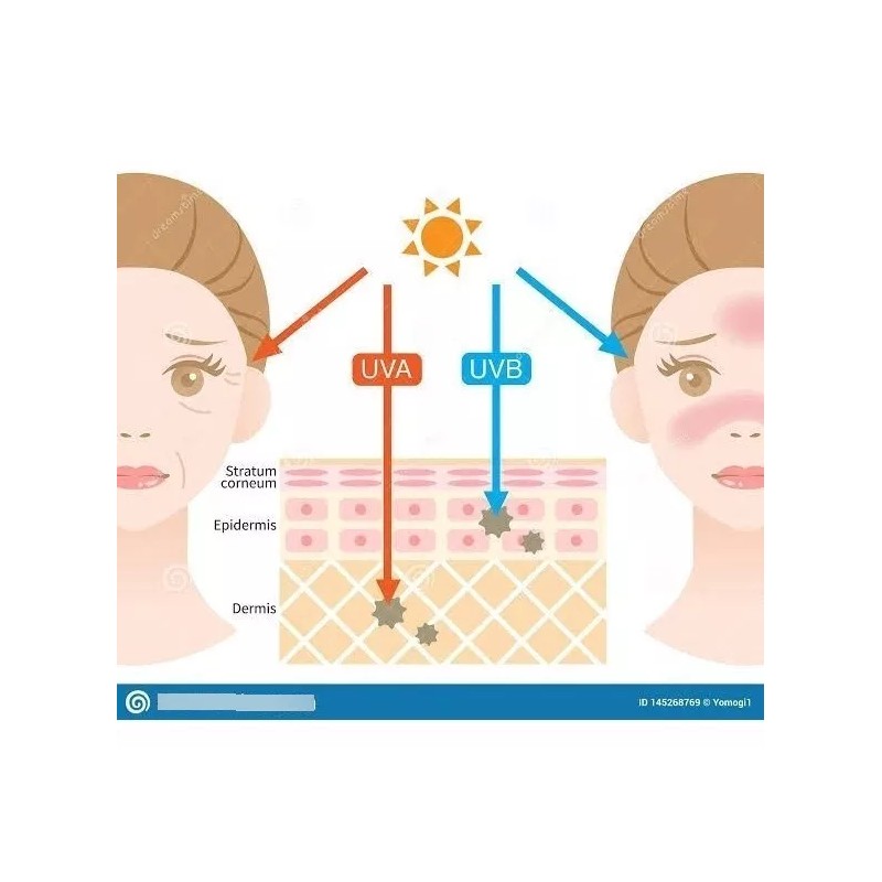 Sheló Nabel Bloqueador Solar, Protector Solar Facial 50+ Coco Sheló
