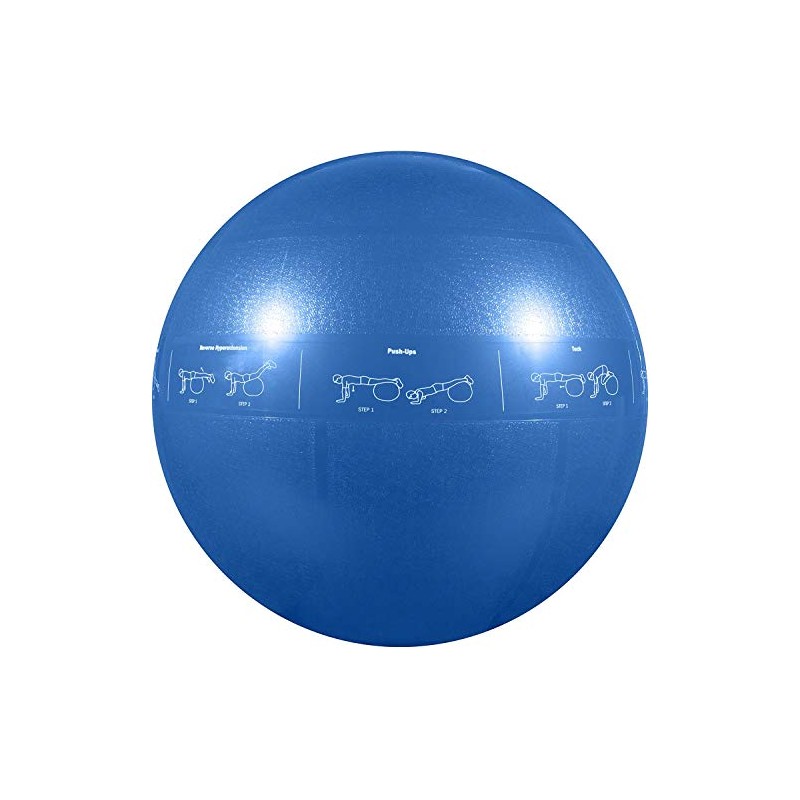 GoFit ProBall Stability Ball – Printed Exercise Ball for Yoga,