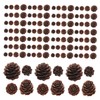 VICASKY 100pcs Christmas Natural Pine Cones - Thanksgiving Mini Pinecones