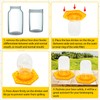 HiveSweet Bee Feeder for 2 pcs Bee Feeder for Mason