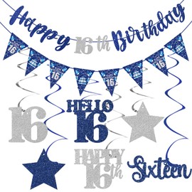 Blue Silver 16th Birthday Decorations for Boys Girls, Happy 16th Birthday Banner Stars Sixteen Hanging Swirls Hello 16 Bday Decor Party Supplies Sign