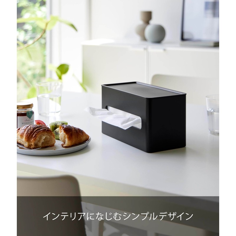 Yamazaki 2041 Double-Sided Compact Tissue & Wet Sheet Case, Black,
