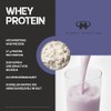 Whey Protein - Blueberry Cheesecake - 3000 g Dose