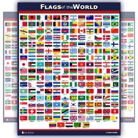 World Flags Educational Poster Laminated Young N Refined (15x20)