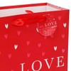 Vammy 13" Large Valentine's Day Gift Bag with Tissue Paper,
