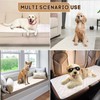 BurgeonNest Couch Cover for Dogs Washable, Non-Slip Dog Couch Cover