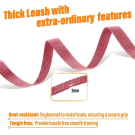 Loutep Dog Training Leash 15ft 20ft 30ft 50ft 100 feet - Extra Long Leash for Dogs with Padded Handle for Small Medium & Large Puppy Breed, Outdoor obedience, Agility Nylon Recall line Lead