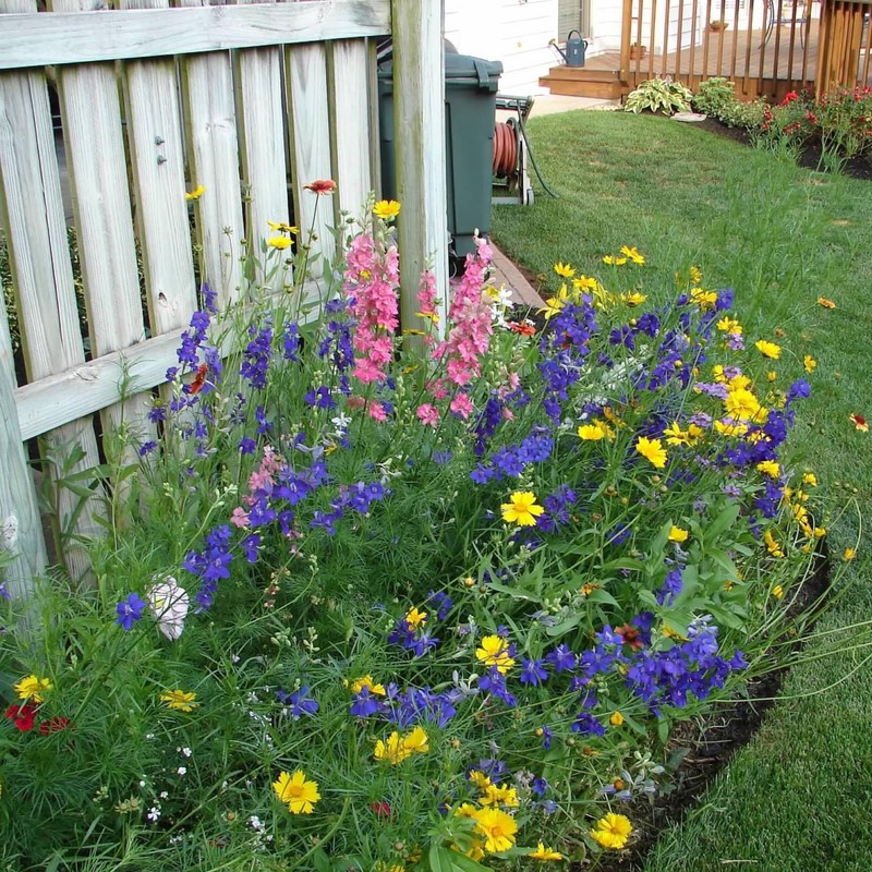 Created By Nature Idaho Wildflower Seed Mix, 14 Flower Varieties,
