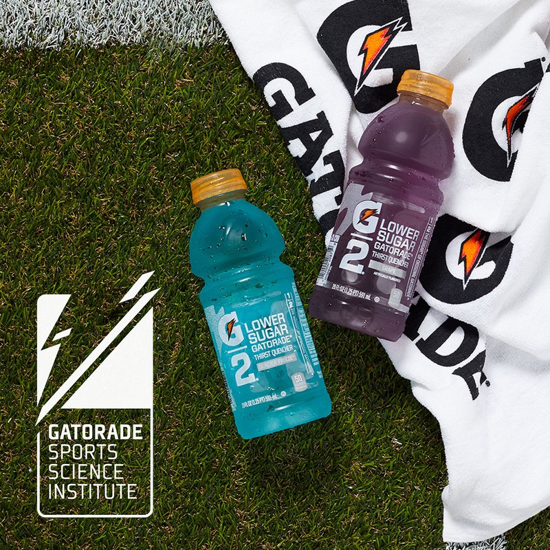 Gatorade G2 Thirst Quencher, Lower Sugar, Fruit Punch, 12 Ounce