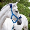 John Whitaker Unisex Club Headcollar and Lead Rope Set Royal