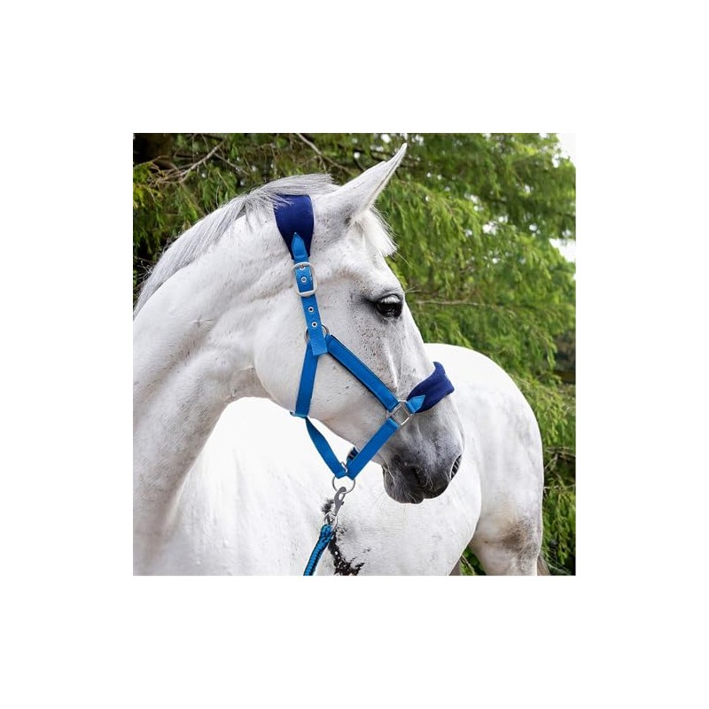 John Whitaker Unisex Club Headcollar and Lead Rope Set Royal
