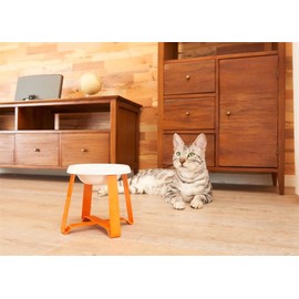 Ceramic Cat Bowl,Small Dog Bowl,Elevated Cat Food Bowl for Protecting Spine,Easy to Clean,Aesthetic,High End and Modern,pecolo