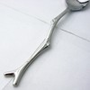 Nagao Twig Coffee Spoon, 4.7 inches (12.0 cm), 5 Bottles