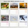 British Wildlife Calendar 2025 A4 Wall Calendar 2025 12 Month