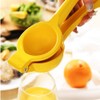 Manual Juicer Citrus Lemon Squeezer, Fruit Juicer Lime Press Metal,