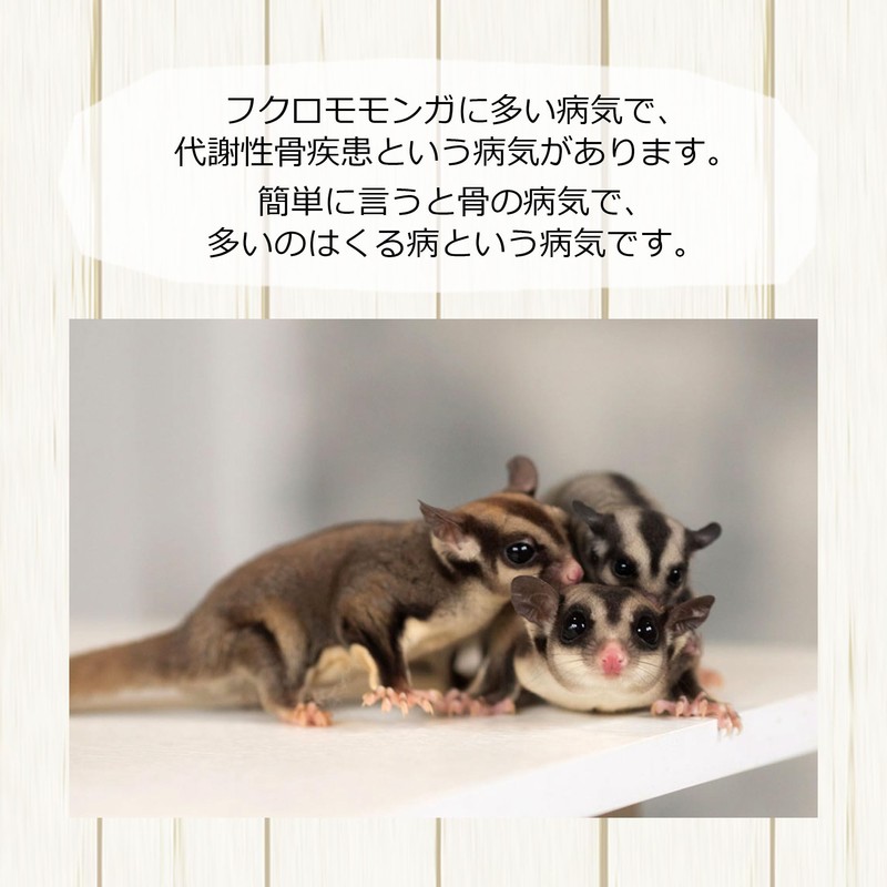 Momo-food-monmon-02-1.1 oz (30 g)