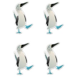 Pack of 4-3 Inch Stickers - Blue Footed Booby Bird Galapagos - Vinyl Sticker - for Car Laptop Water Bottle Phone - Waterproof Decal - Sticker Graphic Decal