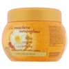 GARNIER Ultradolce Mask Jar Wonderful Argan/Camellia 300 Ml. Hair Conditioner