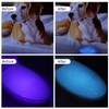 UV Flashlight Black Light, Black Light for Pet Urine Detection,