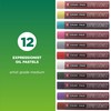 Sakura XLP12 12-Piece Cray-Pas Expressionist Assorted Color Oil Pastel Set